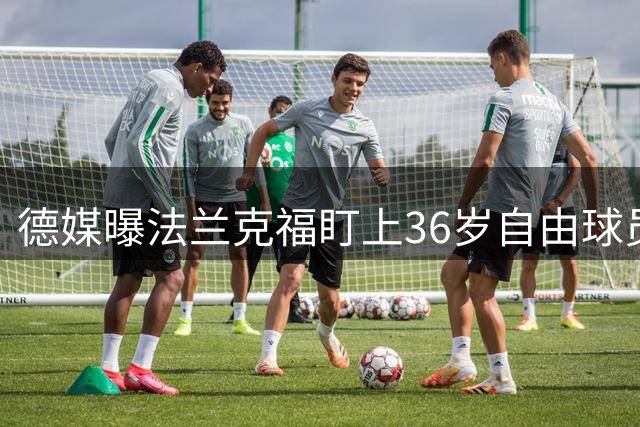 德媒曝法兰克福盯上36岁自由球员何塞卢